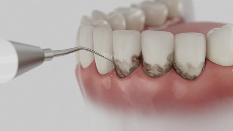Reliable Dental contractor in Temple, TX by Dentist Open Now
